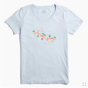Jcrew collectors tee Caribbean Sea sz L